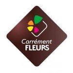 Franchise CARRÉMENT FLEURS