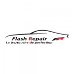 Franchise FLASH REPAIR